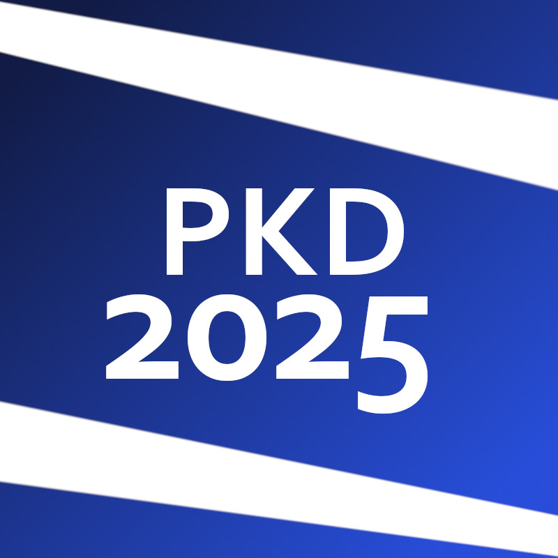 Nowe Kody PKD w 2025 roku – Co musisz wiedzieć jako właściciel firmy?